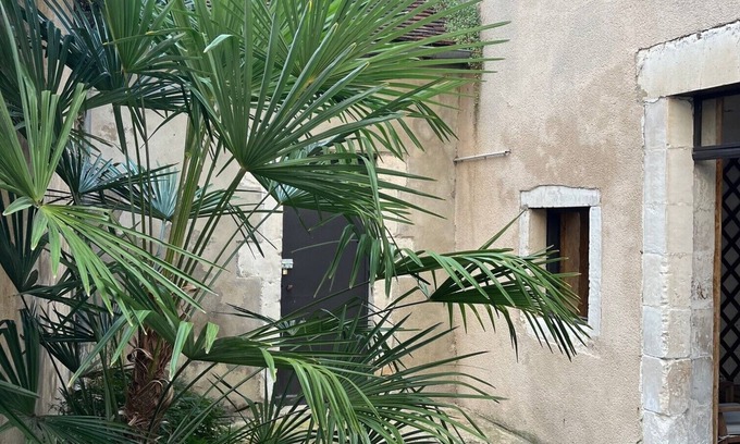 Auxerre Apartment | Appartement Cosy Plein Centre - Espaces Extérieurs Privés