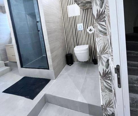 Anatole France Danton Apartment | Appartement hyper centre - Coty