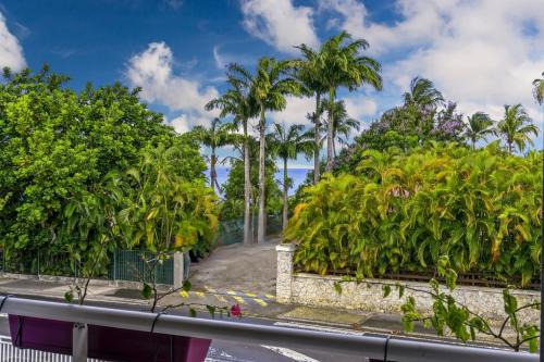 Pointe de la verdure Apartment | Appartement Orchid Dan
