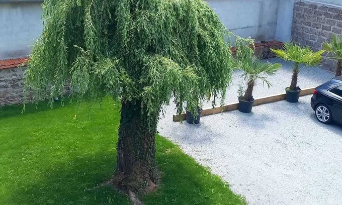 Bourg-de-Thizy Apartment | Appartement Tout Confort AU Calme Domaine DE Thizy