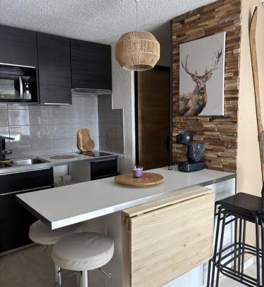 Allos Apartment | Appartements au cœur de la station de ski "La Foux D'allos"