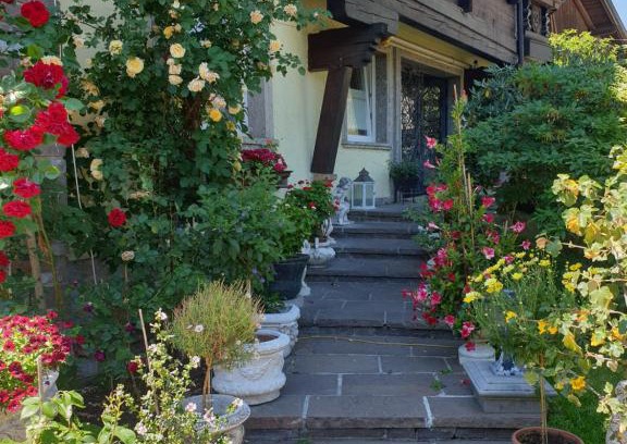 Bad Hofgastein Apartment | Appartment Graukogel Blick