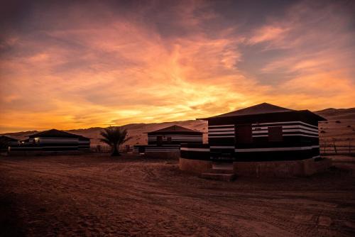 Bidiya Other | Arabian Oryx Camp