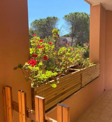 Sorso Apartment | Arboria Sun & Sea