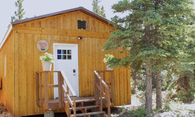 Healy Cabin | Arctic Dragonfly Inn