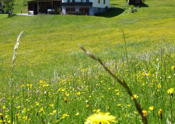 Maschl Apartment | Arlberggut