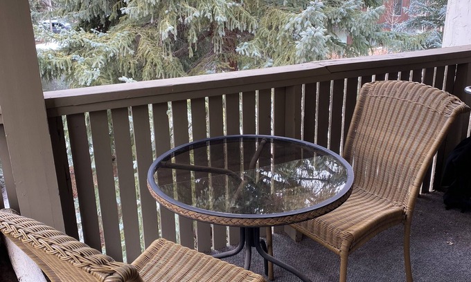 Aspen Apartment | Aspen View Condo Beautiful Setting