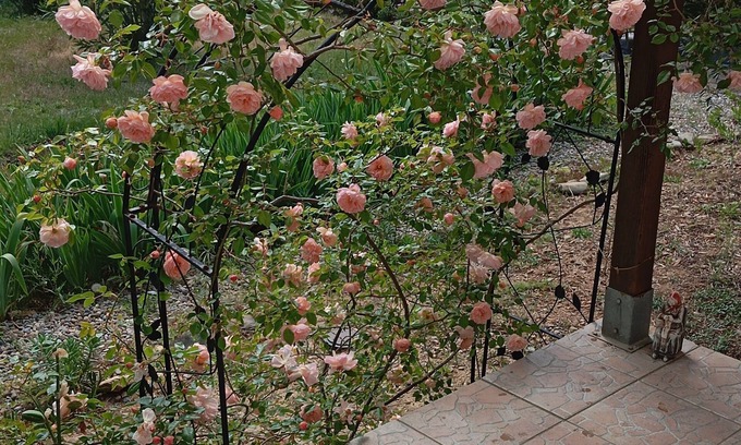 Rieux-Minervois Bed & Breakfast | At Lia and Danny's