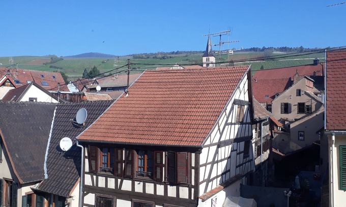 Barr Apartment | Au Dessus des Toits. Plein Centre Avec vue sur les Vignes et la Montagne