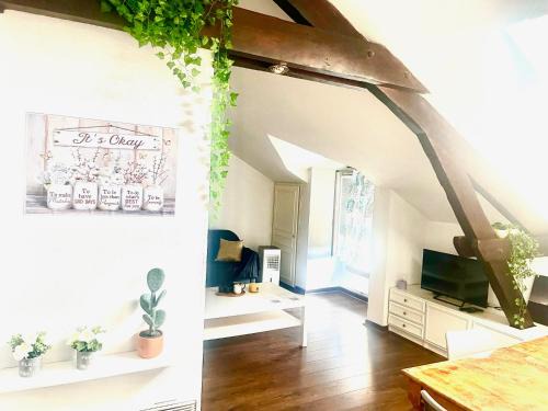 Millau Apartment | au Mignonnet