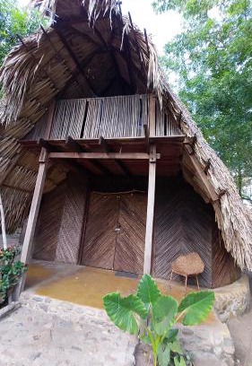 Palomino House | Auroa Palomino