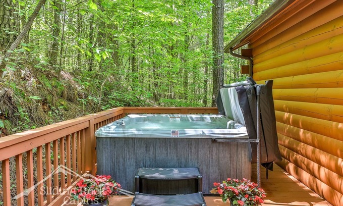 Ellijay Cabin | Autumn's Hollow : one story, easy access, 2/2, HOT TUB, pet friendly, lake,