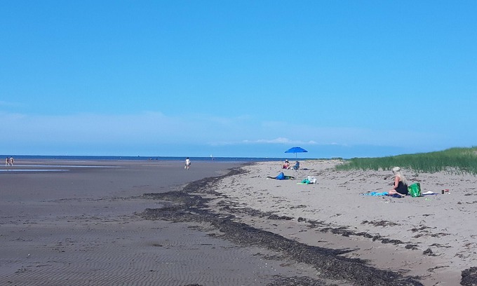 Pointe-du-Chene Cottage | Available only to Atlantic Canadians, 3 minute walk to pet friendly beach.