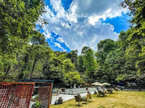 Nainital Hotel | Ayar Jungle Resort