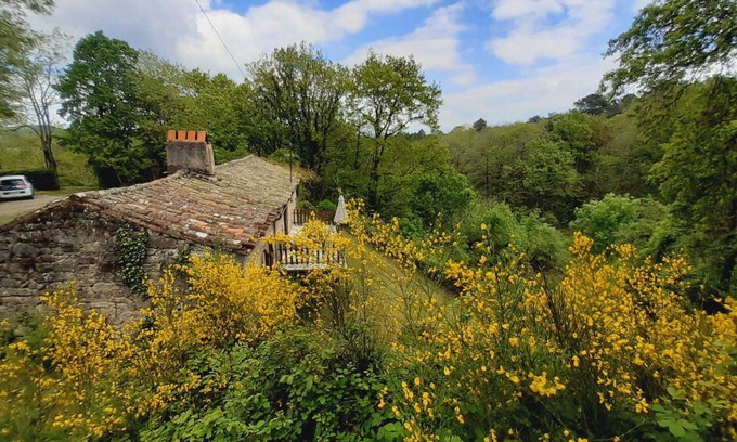 Vaour House | Aymes - VAOUR - Gîte