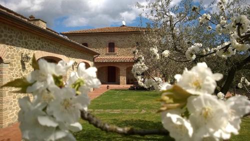 Arezzo Bed & Breakfast | B&B Borgo del Contadino