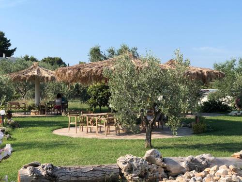 Defensola Bed & Breakfast | B&B Le Cicale