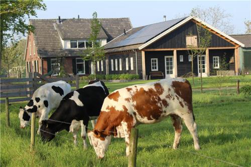 Varsseveld Bed & Breakfast | B&B 't Bievink - buitengewoon overnachten