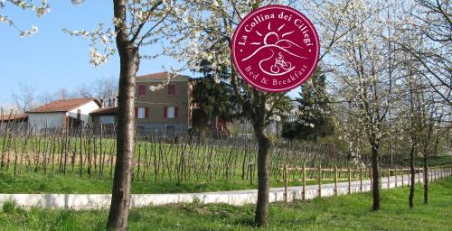 Cassano Spinola Bed & Breakfast | B&BLa collina dei ciliegi