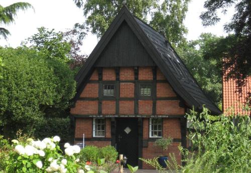 Sogel House | Backspieker BACK