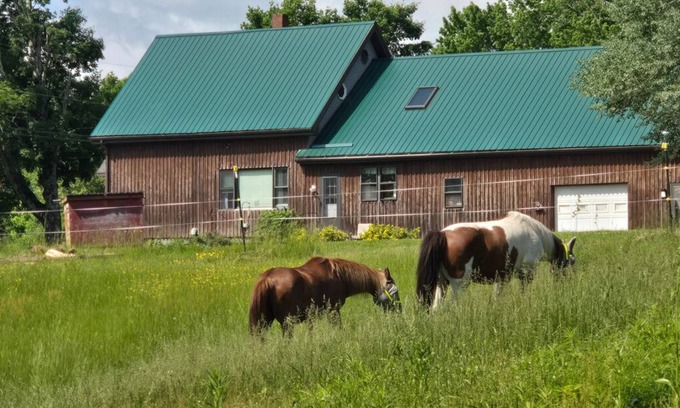 Corinth House | Backyard Bliss Near Bangor Concerts, Hiking, Trails. Pasture for Horses!