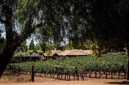 San Antonio de las Minas Ski Chalet | Baja Vineyard Lodge - Luxury in Valle de Guadalupe with pool