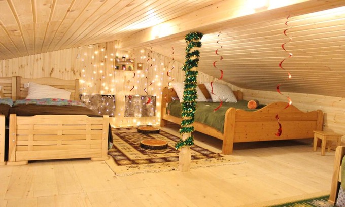 Bakurianis Andeziti Apartment | Bakuriani residence