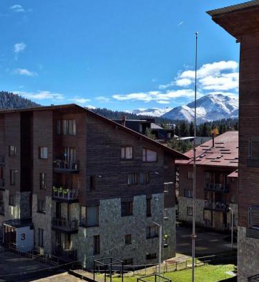 Bakuriani Apartment | Bakuriani Villa Monte