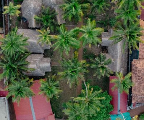Varkala Resort | Bamboo Village