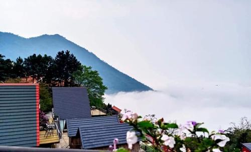 Tam Dao House | Ban Mai Xanh homestay Tam Đảo