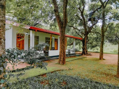 Dambulla Bed & Breakfast | Banana Rest Sigiriya