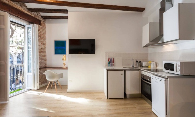 Ciutat Vella Apartment | Baron Reina 1 - Plaza de la Reina