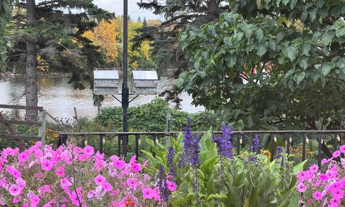 Killarney House | Bayside home with birds, butterflies, deer, and gardens
