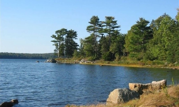 Ellsworth Cottage | Bayside Shore Front Cottage Near Bar Harbor