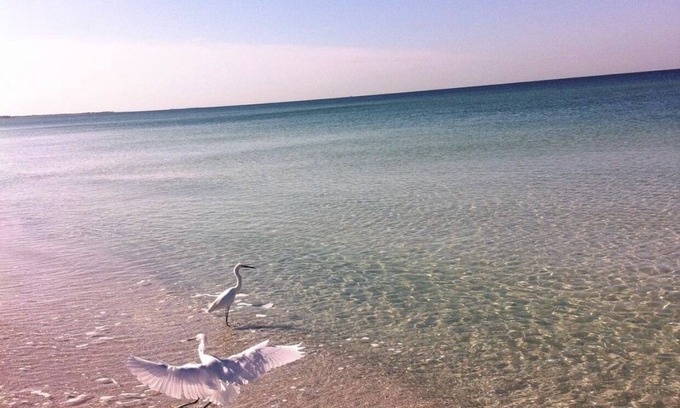 Don Cesar Apartment | Beach Retreat Apartment Ground Floor Patio - Location! Location!