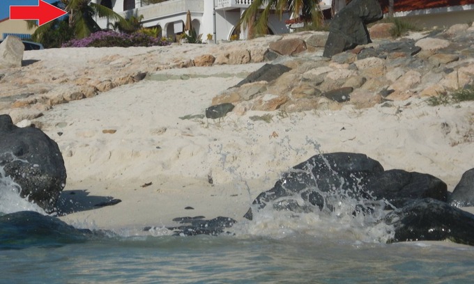 Arashi Apartment | Beach White Villa Aruba, the best snorkel spot on the island!