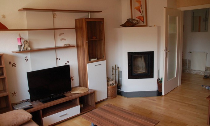 Im Geiger Apartment | Beautiful 3-room apartment with fireplace oven near city, stylish