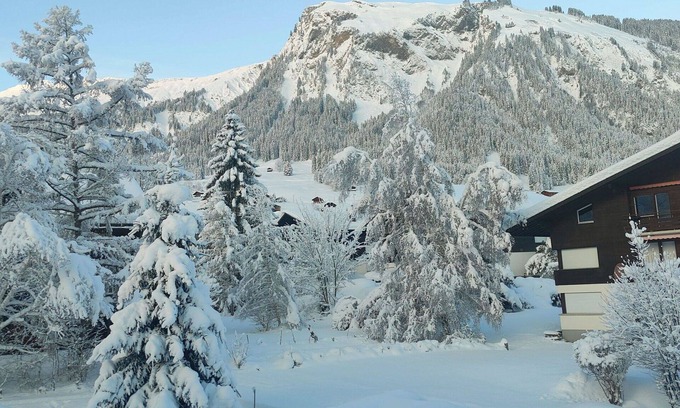Lenk Apartment | Beautiful apartment for 5 guests with WIFI and balcony