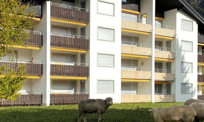 Parpan Apartment | Beautiful apartment for 6 people with WIFI, TV and balcony