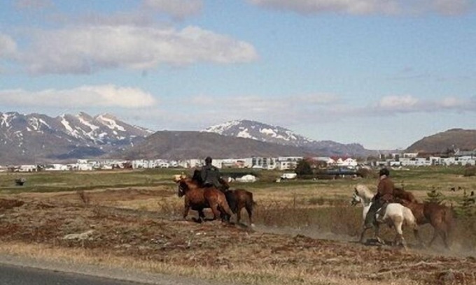 Mosfellsbaer Apartment | Beautiful Apartment With Sunny Terrace FREE parking, FREE high speed wifi