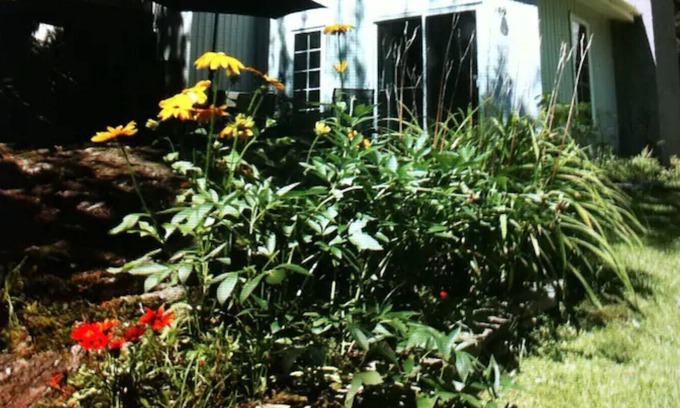 Orford Lake Cottage | Beautiful cottage - The Nymphea by the lake