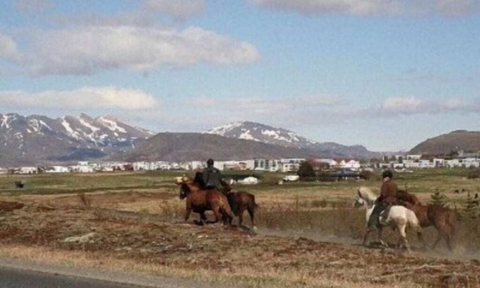 Mosfellsbaer Apartment | Beautiful Private small room in a Beautiful Nature area