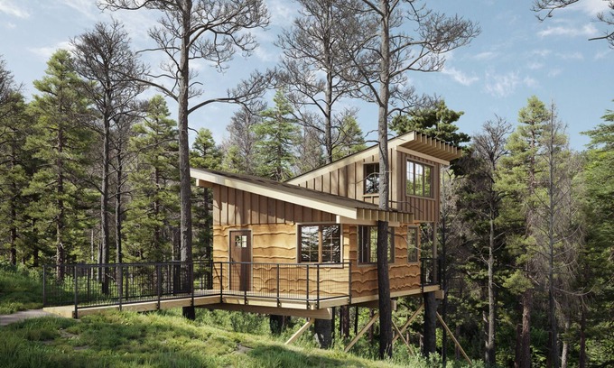 Zirconia Cabin | Beautifully Crafted Warbler Treehouse near Tuxedo Falls