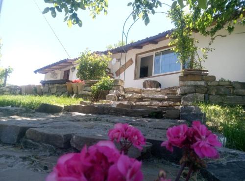 Terranova di Pollino Bed & Breakfast | Bed And Breakfasts LA CASETTA
