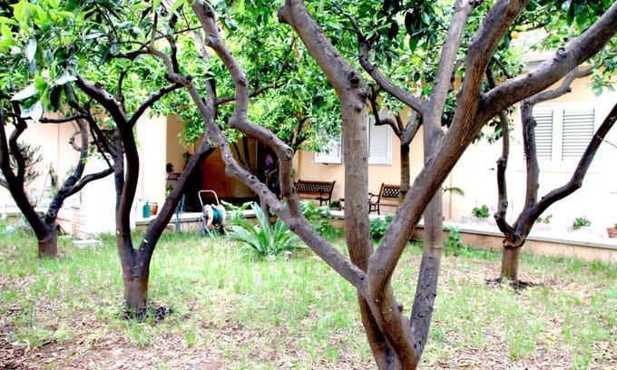 San Donaci Bed & Breakfast | Bed and Breakfast L'Aranceto