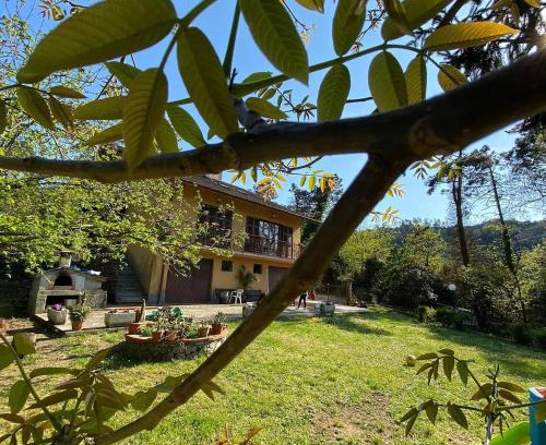 Casarza Ligure Bed & Breakfast | Bed & Breakfast Le cicale e la formica