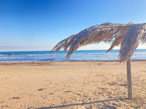 Porto Palo Apartment | Beddaammari