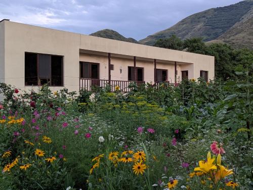 T'ba House | Bee House