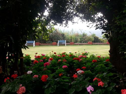 Mahabaleshwar Hotel | Bella Vista Mahabaleshwar
