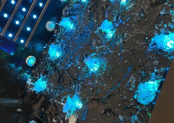 Sarrians House | BellaVilla 309